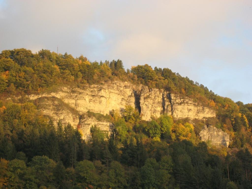 Gaestehaus Krone Oberndorf am Neckar Δωμάτιο φωτογραφία