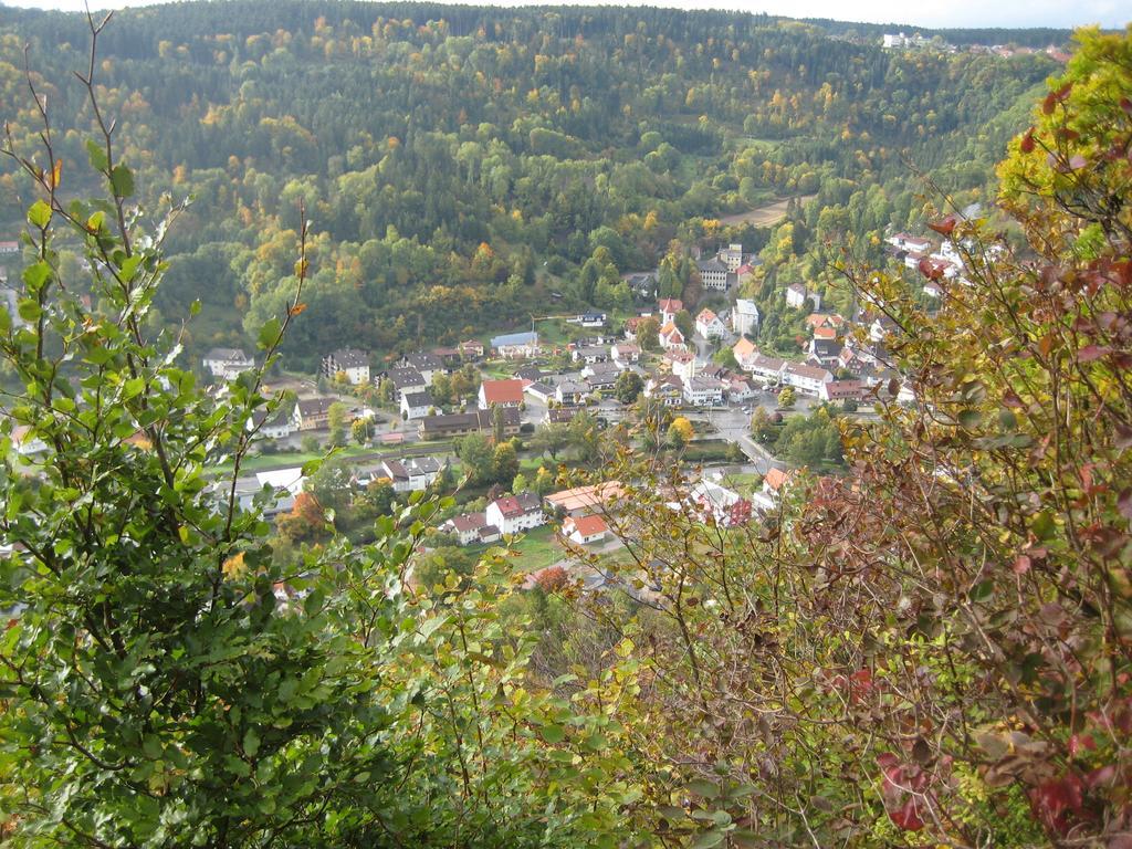 Gaestehaus Krone Oberndorf am Neckar Δωμάτιο φωτογραφία